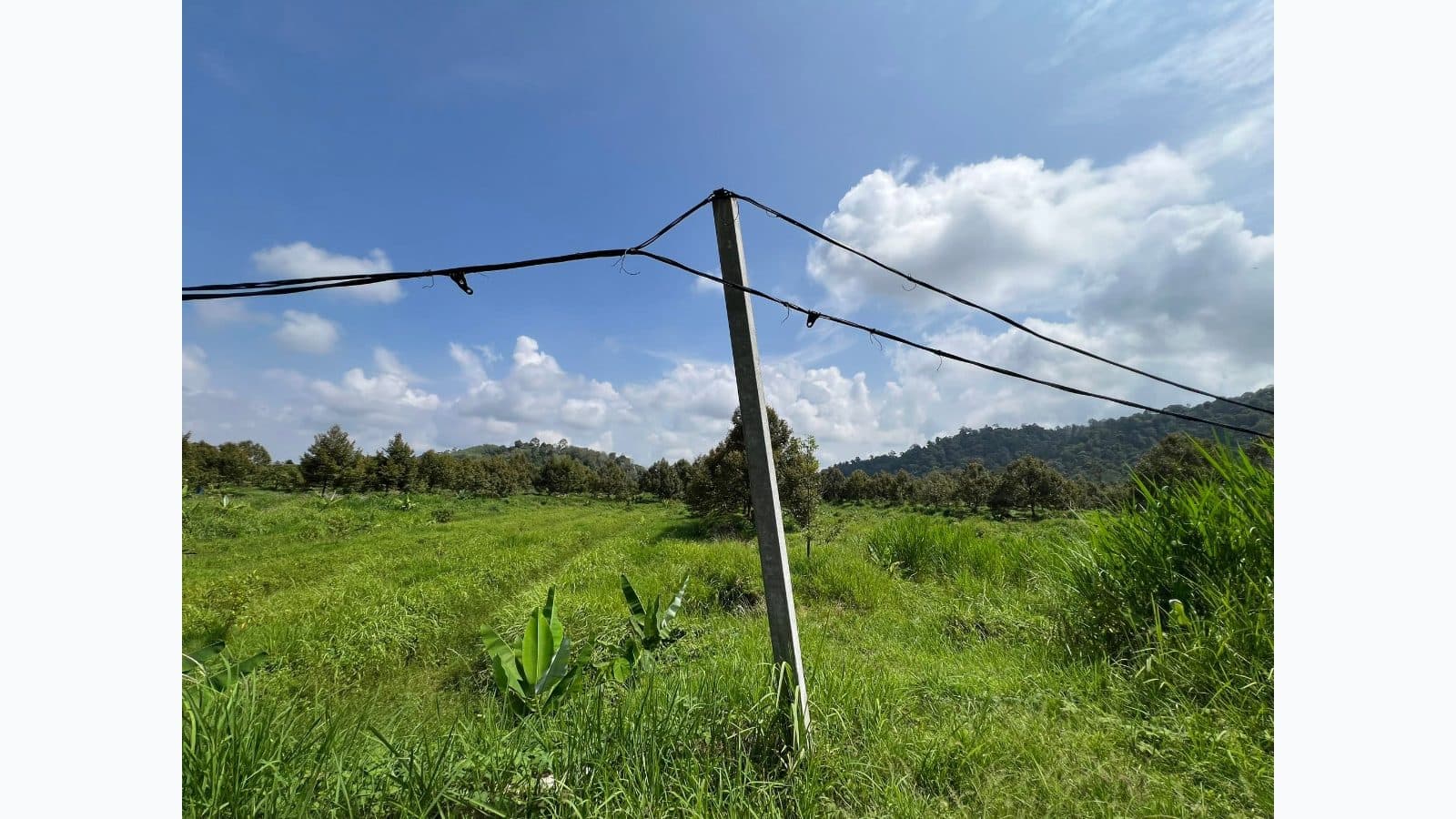 Wan Rdtg farm photo