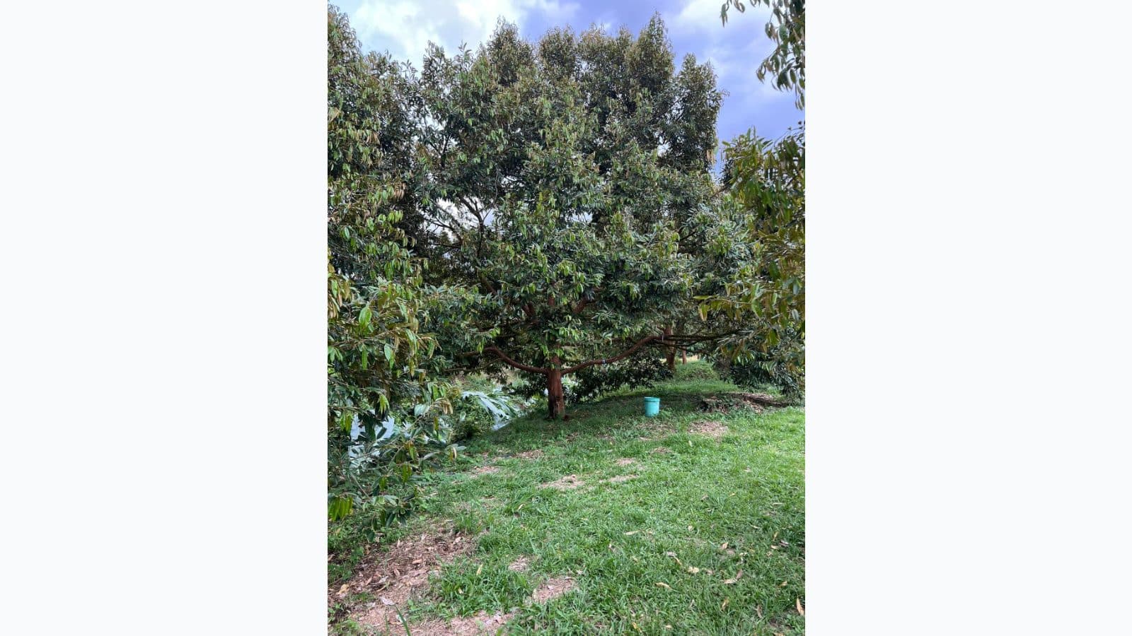Wan Rdtg farm photo