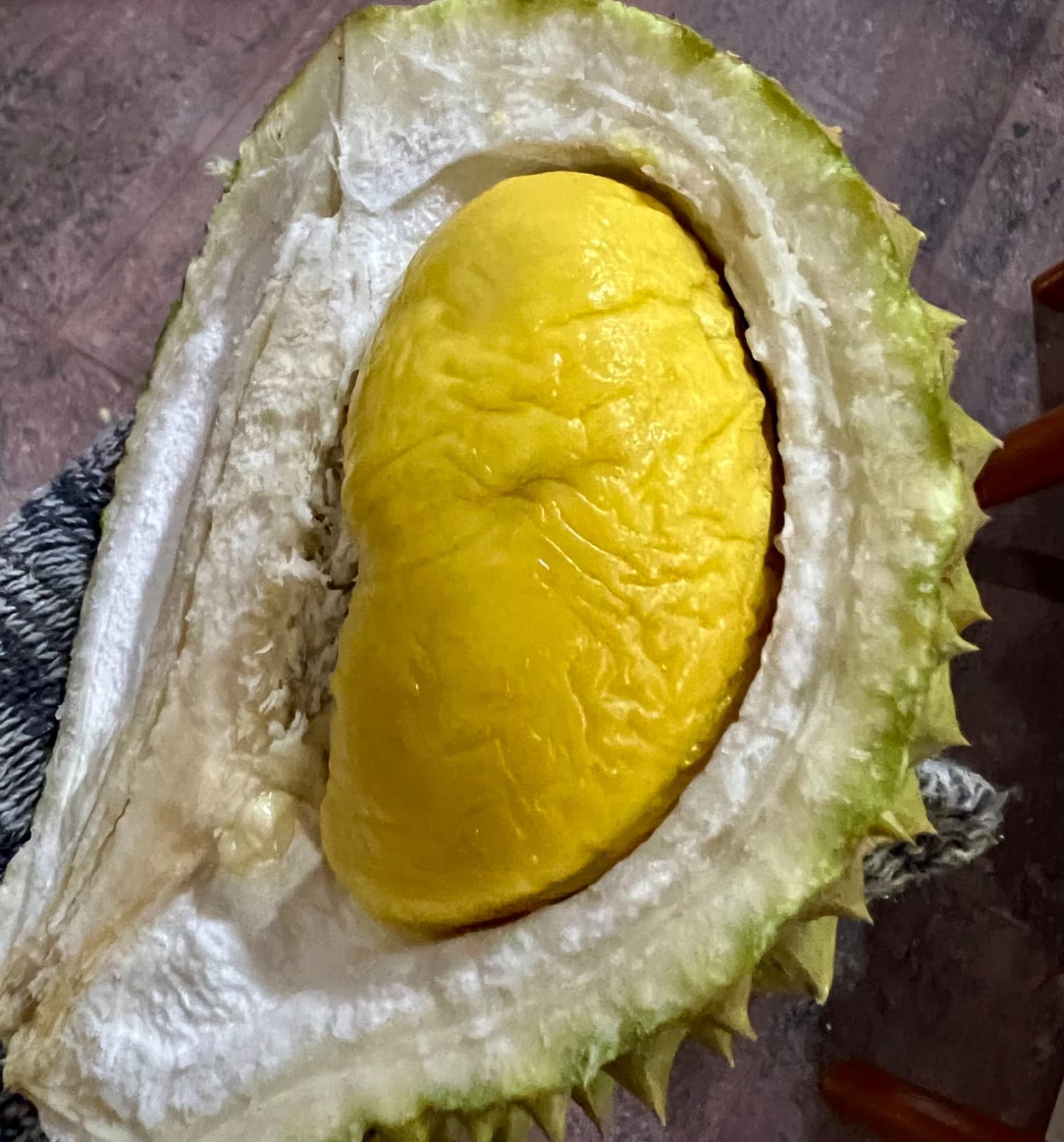 Variety Size Of Musang King Raub