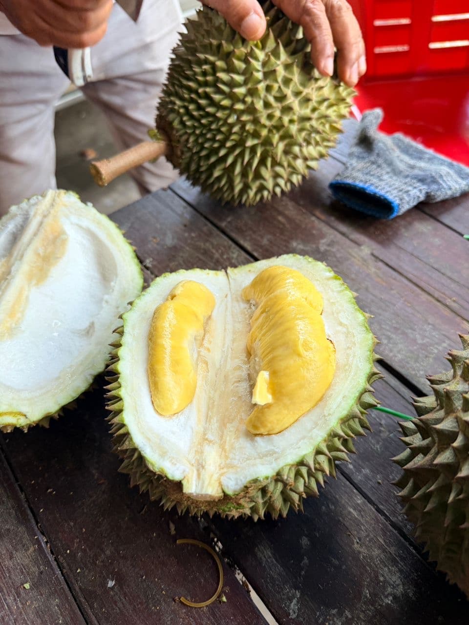 Durian Kampung Premium Segamat from Kebun Johar Segamat