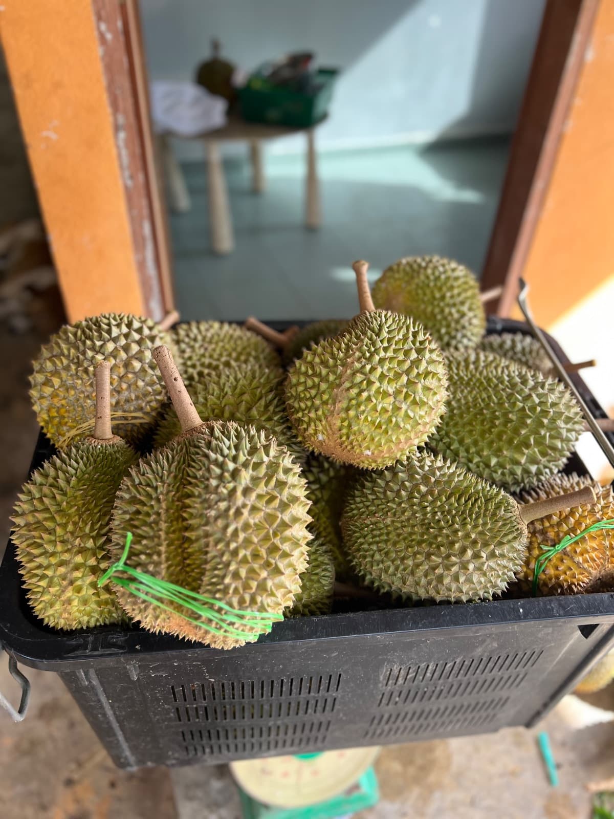 Durian Kampung Premium Segamat - additional image 3