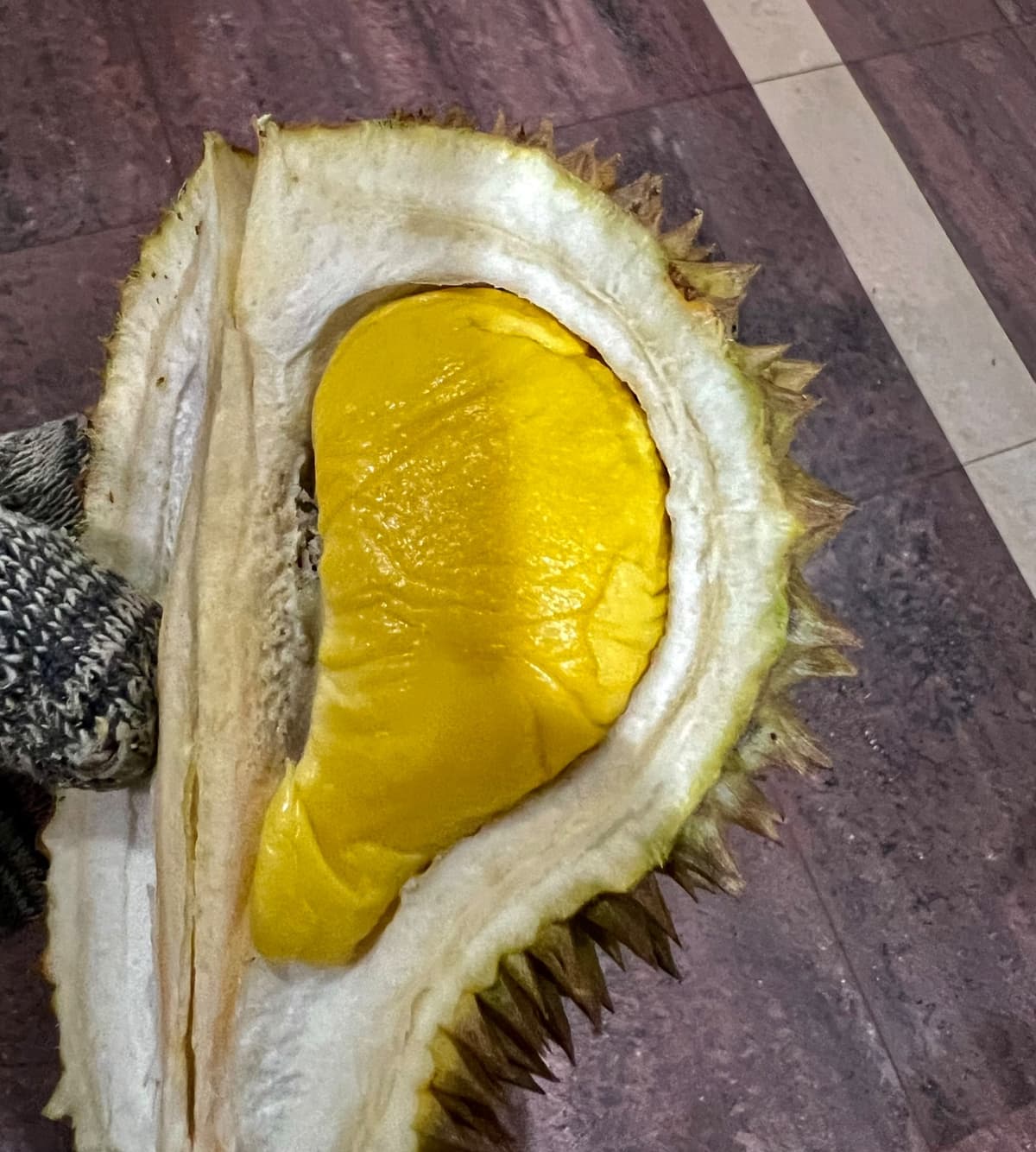 Duria. D24 Premium from Kebun Johar Segamat