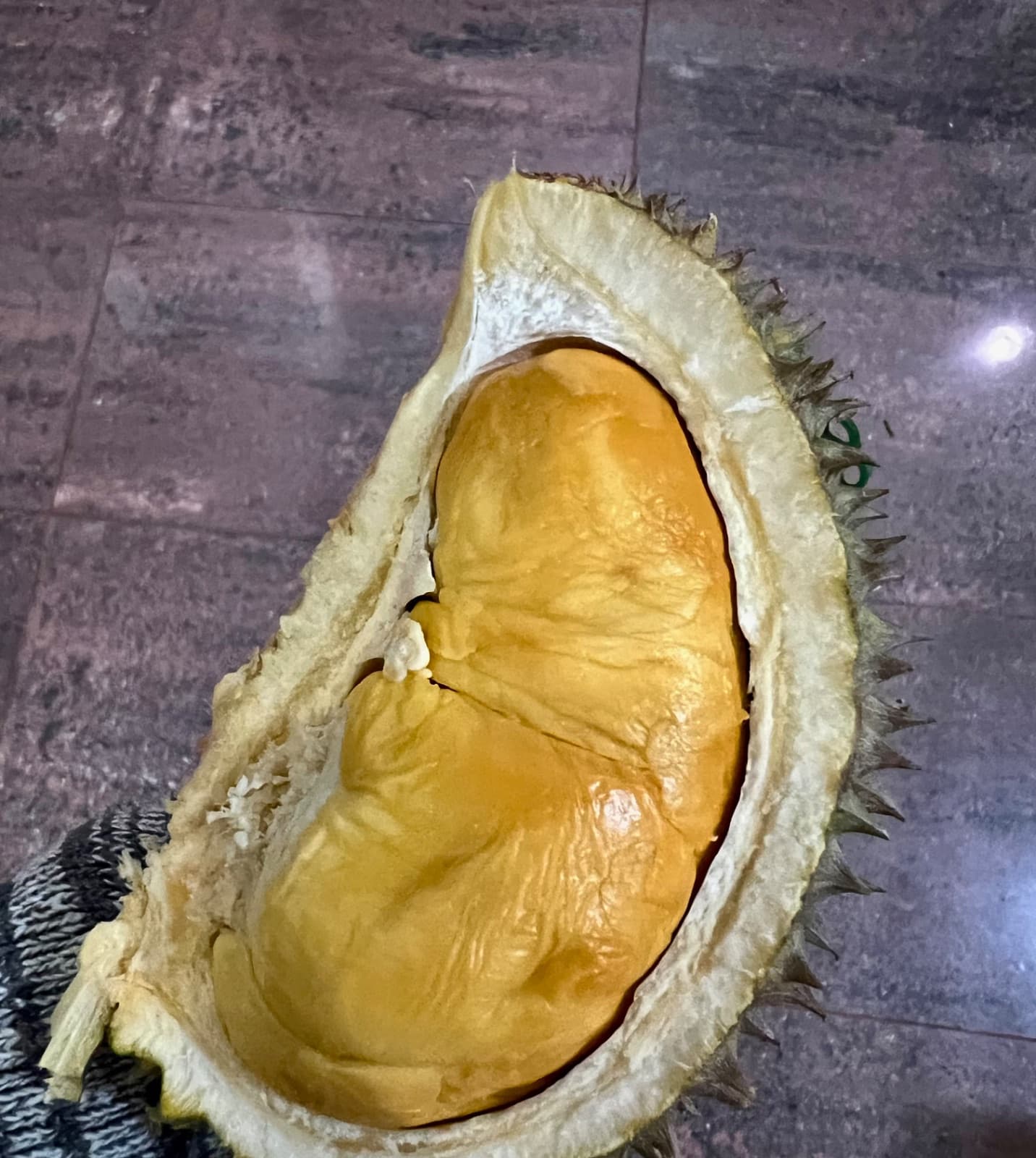 Duria. D24 Premium - additional image 2