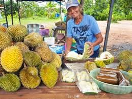 Premium & Local Kampung Durian (Buffet booking or Pre-Order for consumption at our farm) - additional image 4